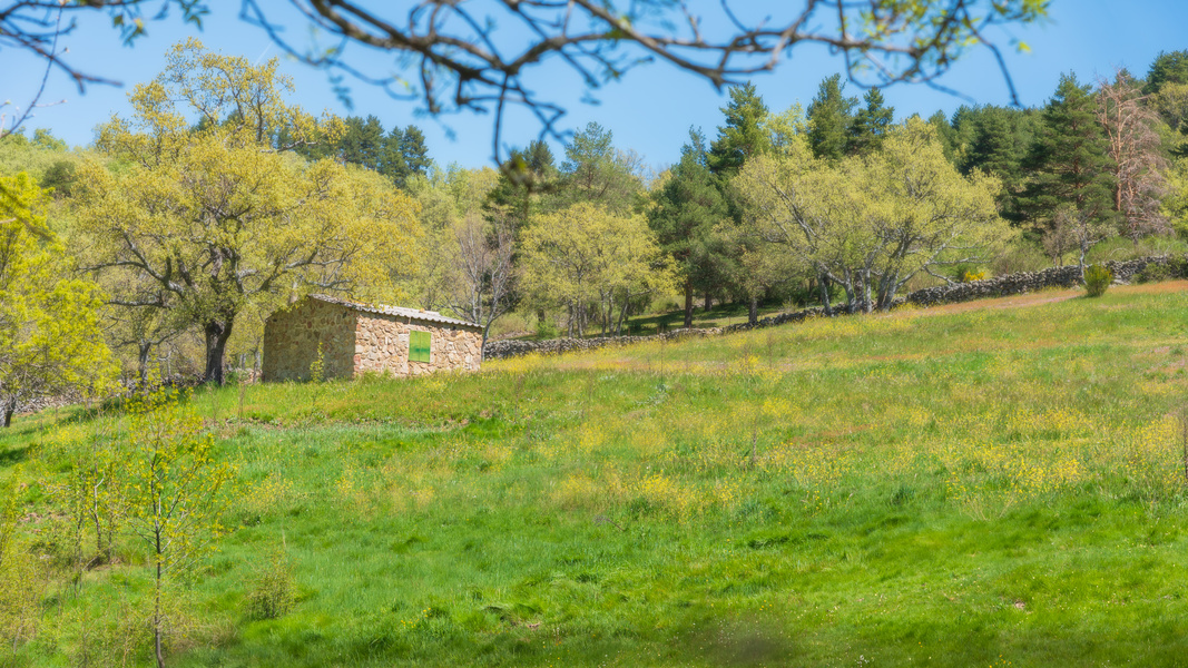 Little House on the Prairie