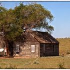 little house on the prarie