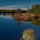 Little Island In a Little Lake