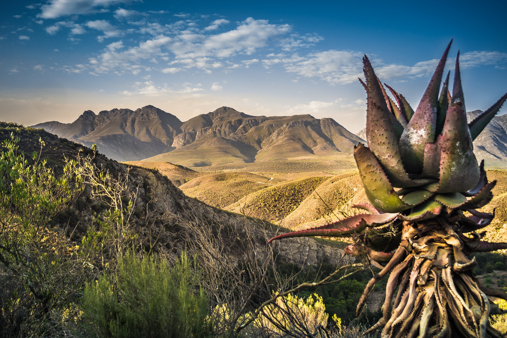 Little Karoo Afternoon