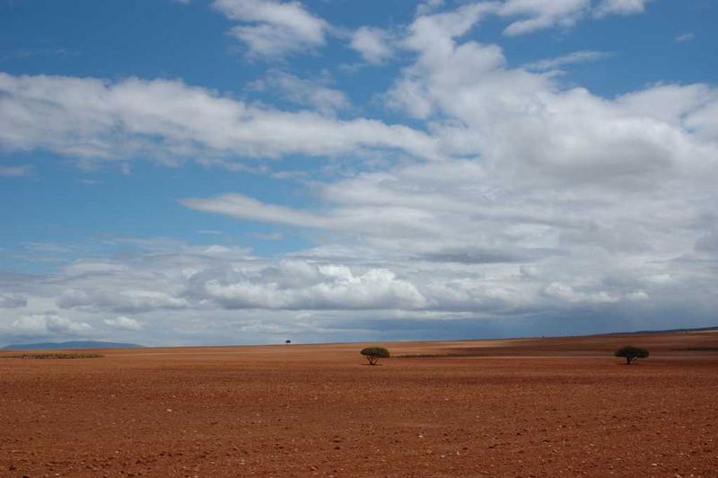 Little Karoo in Spring 2005