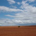 Little Karoo in Spring 2005