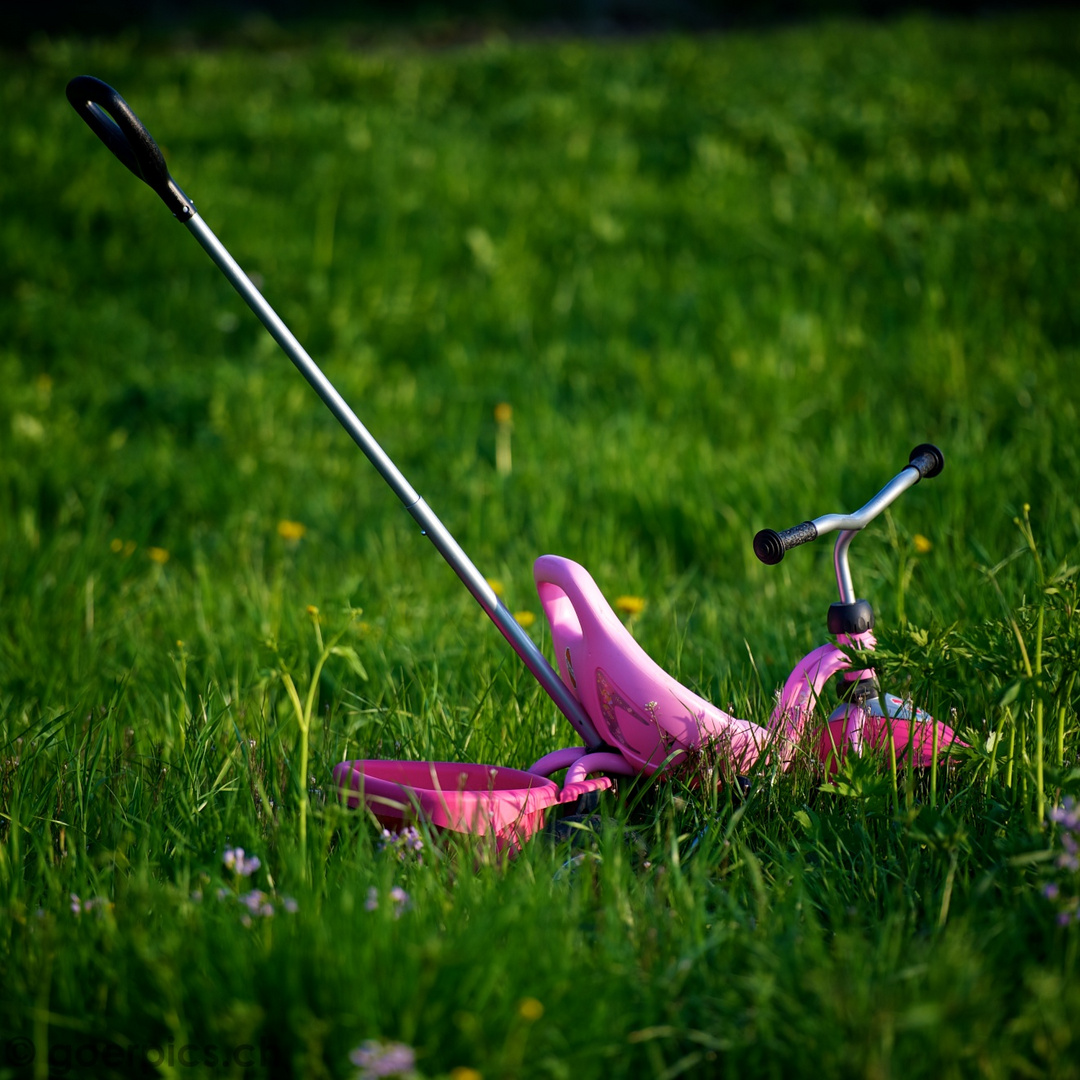 Little Lady-Bike