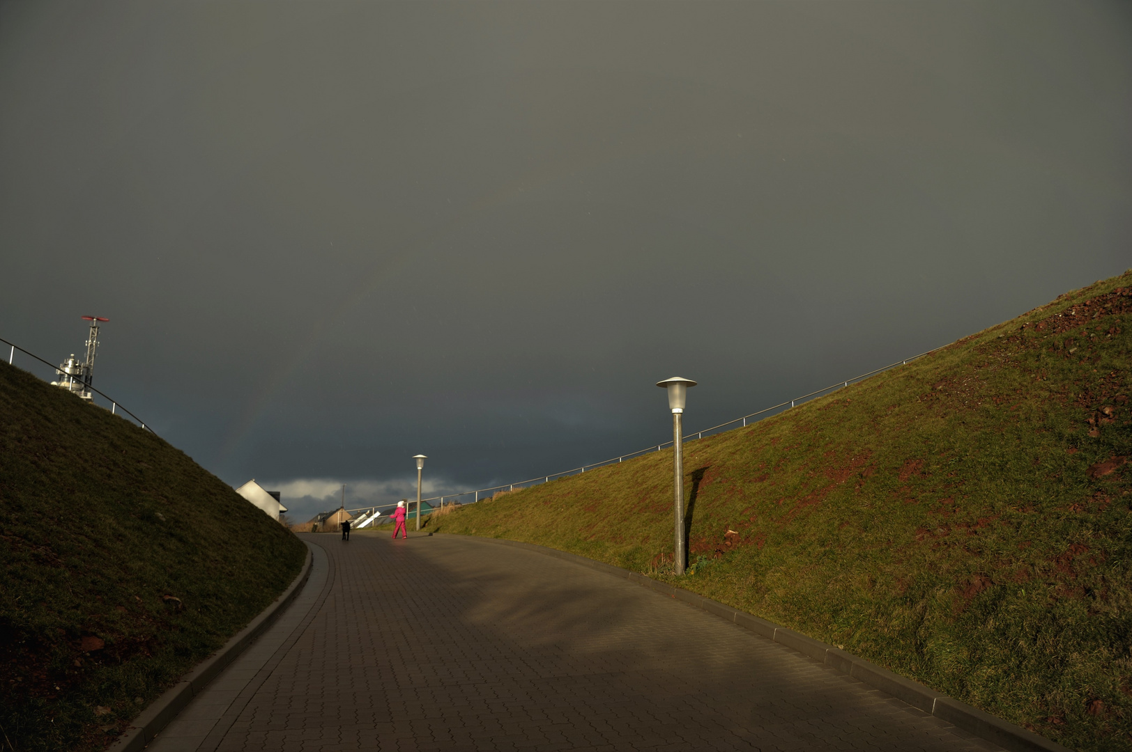 little lady in pink with dog on the way to the rainbow