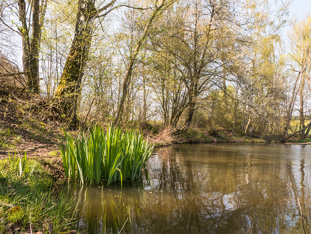 Little Lake