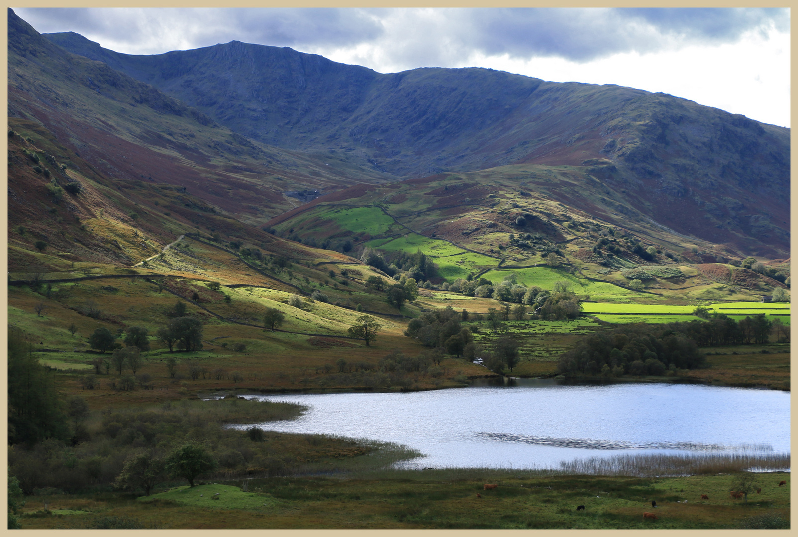 Little Langdale Tarn 8