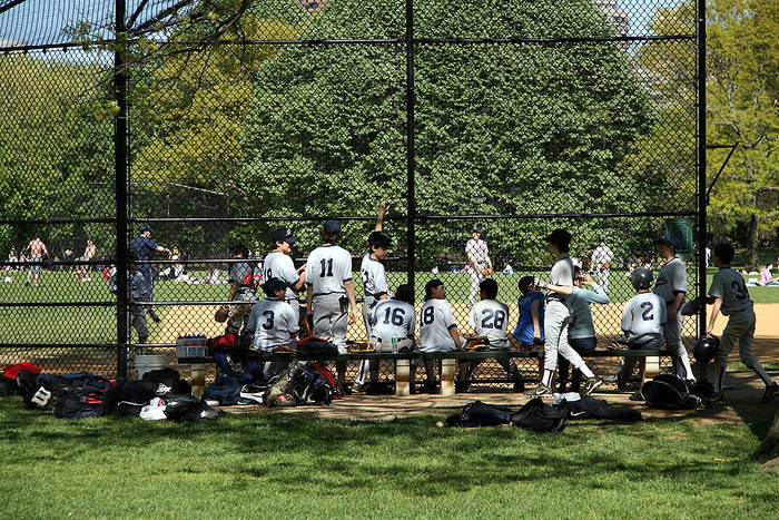 Little League Baseball