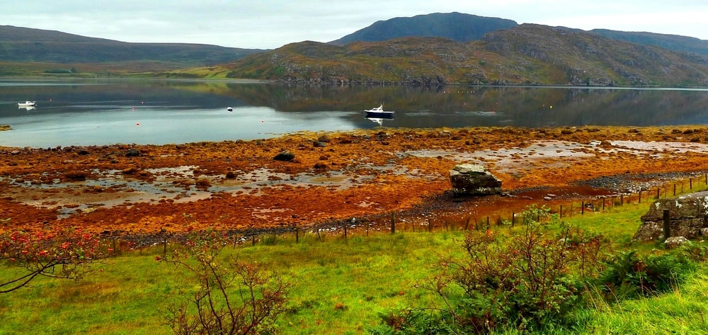 Little Loch Broom