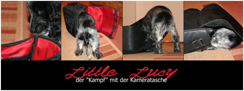 Little Lucy und die kameratasche