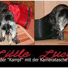 Little Lucy und die kameratasche