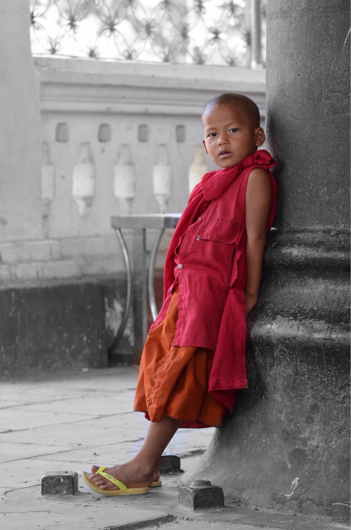 Little Monk 