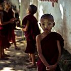 Little Monks of Myanmar