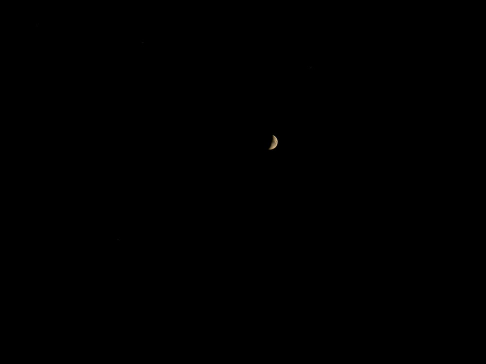 Little moon in the night