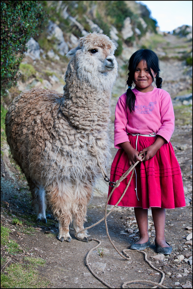 [ Little Nelly & her cute Alpaca ]