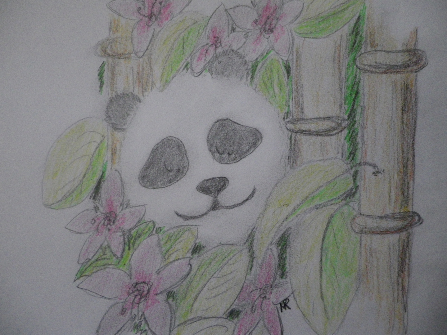 Little Panda