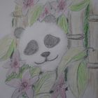 Little Panda