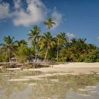 Little Paradise Tikehau Tuamotu Atoll Ozeanien