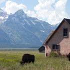 Little Pink Houses for you and me