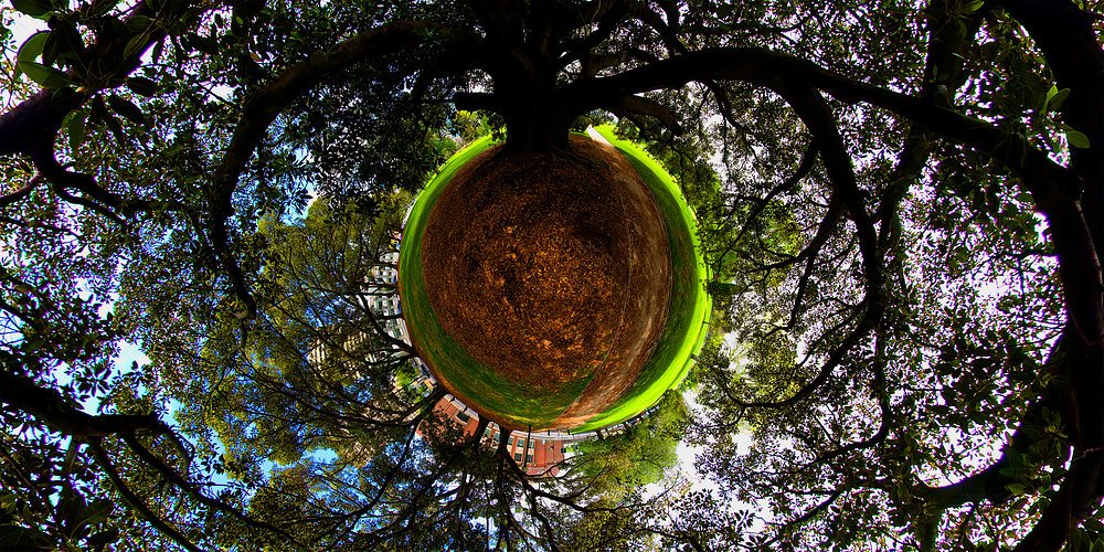 °°Little Planet°°