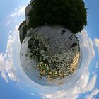 little planet