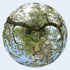 Little Planet Apfelbaum