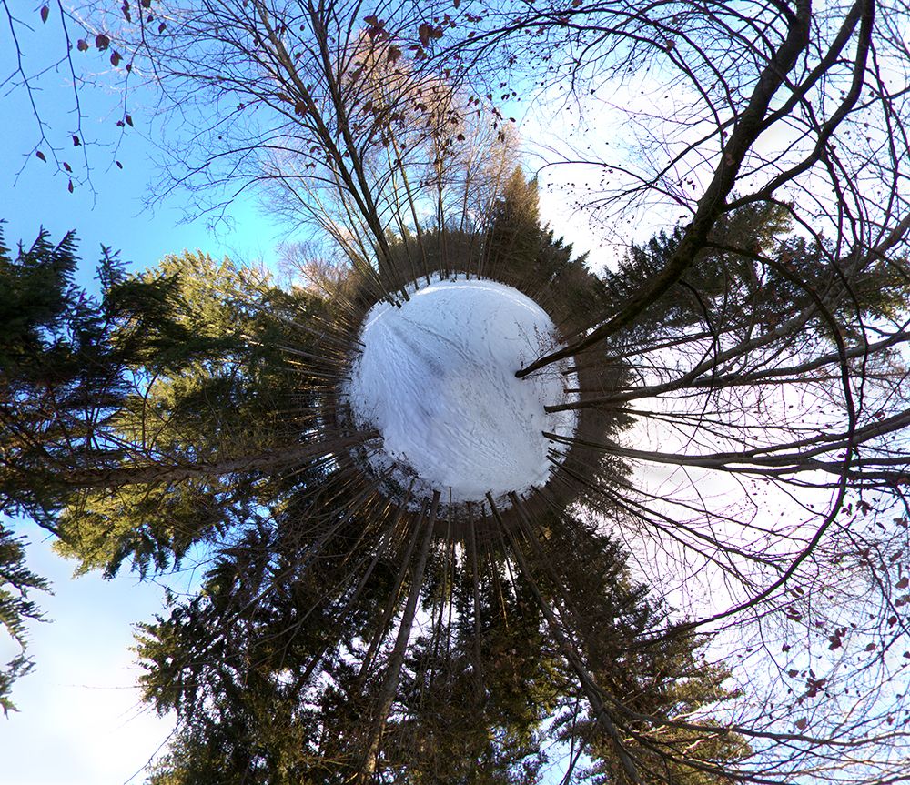 Little Planet im Wald