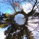 Little Planet im Wald