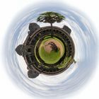 Little Planet Panorama von Angkor Wat