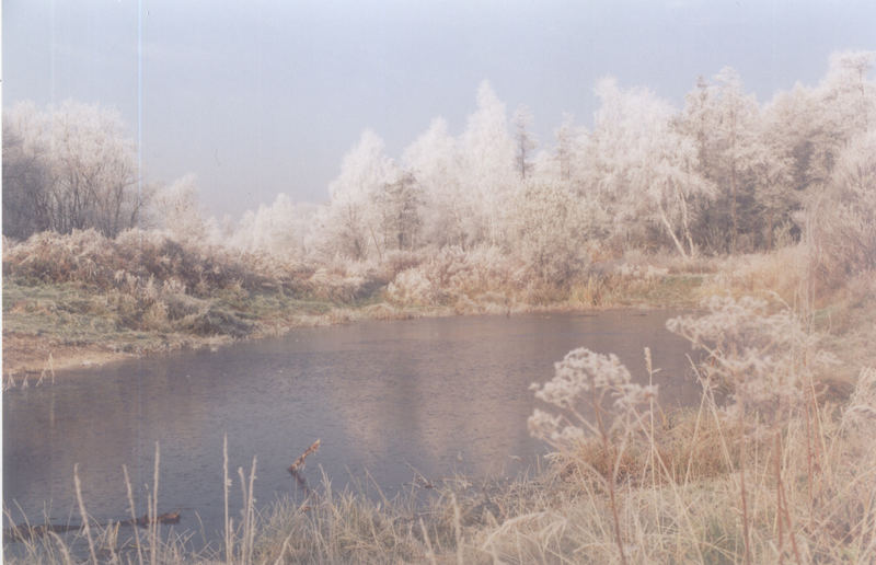 Little pond at November