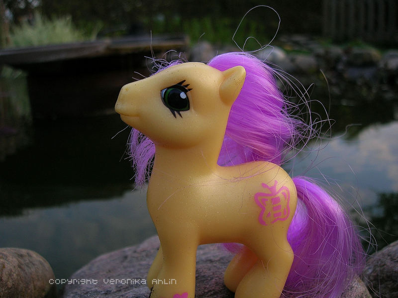 Little pony!