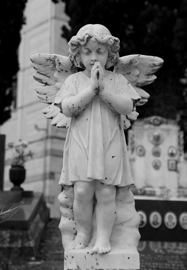 little praying angel