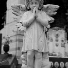 little praying angel