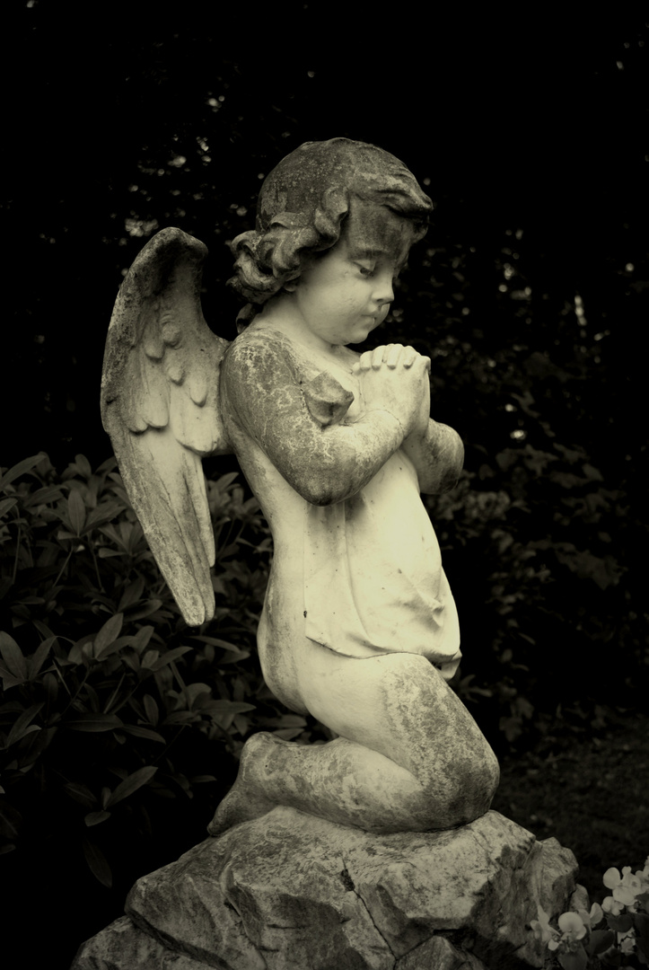 Little Praying Angel