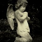 Little Praying Angel