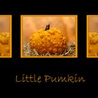 Little Pumkin