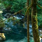 Little Qualicum Falls Park