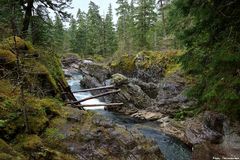 Little Qualicum River Falls