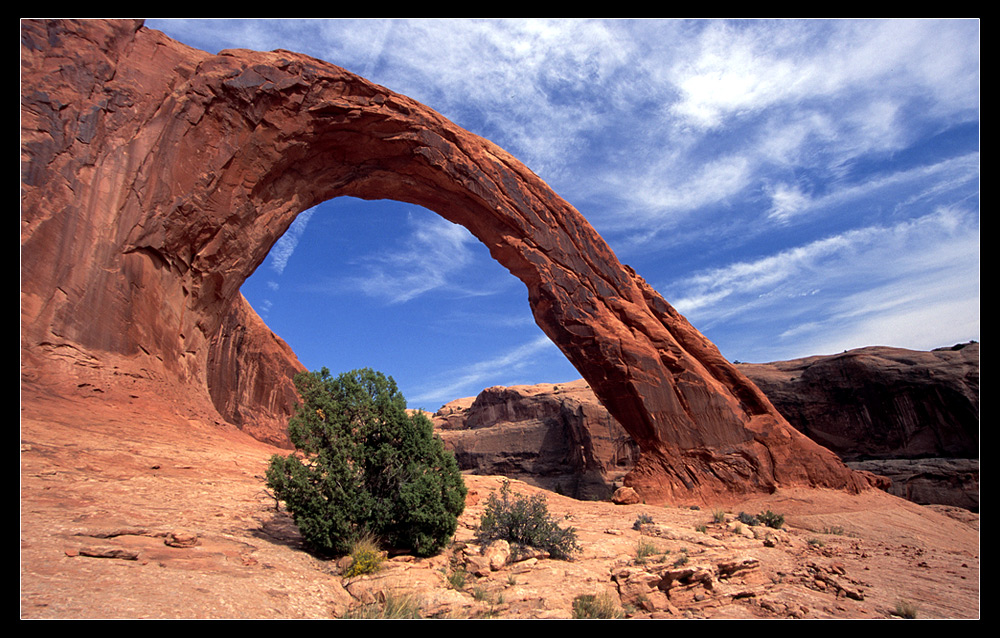 Little Rainbow Bridge