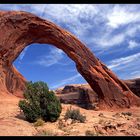 Little Rainbow Bridge