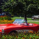 Little red Corvette