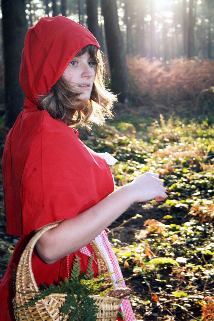 Little Red Riding Hood