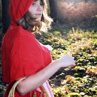 Little Red Riding Hood