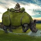 Little Rhino World