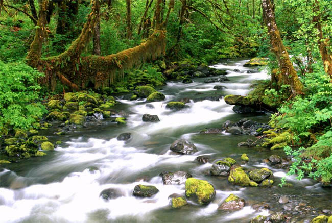 Little River in den Smoky Mountains