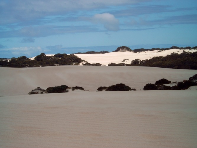 Little Sahara auf Kangaroo Island