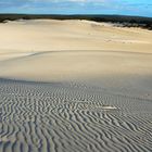 Little Sahara auf Kangaroo Island