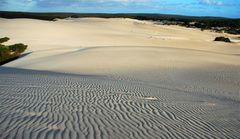 Little Sahara auf Kangaroo Island