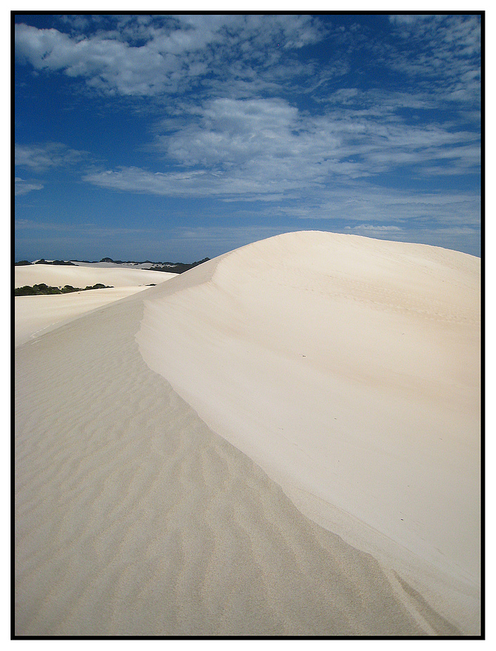 Little Sahara (Kangaroo Island)