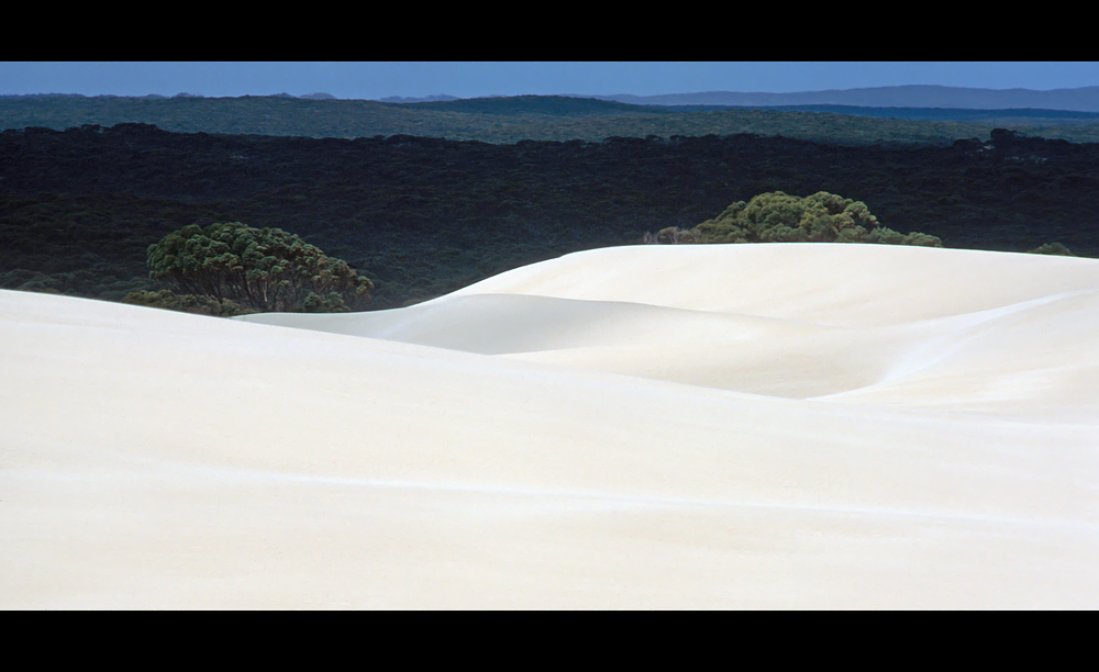 Little Sahara • Kangaroo Island