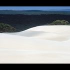 Little Sahara • Kangaroo Island